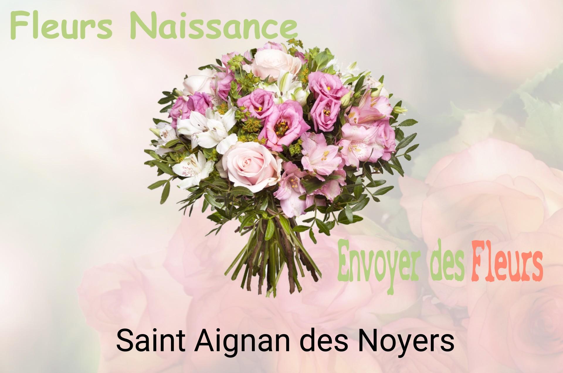 Bouquet de fleurs de naissance livré à Saint-Aignan-des-Noyers