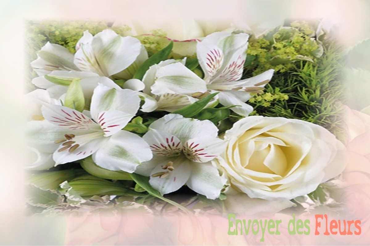 envoyer des fleurs à à SAINT-AIGNAN-DES-NOYERS
