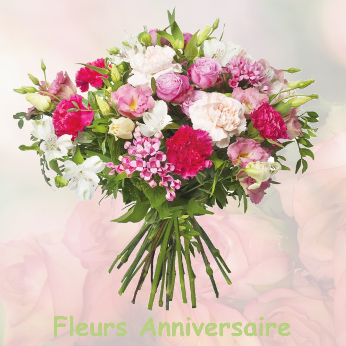fleurs anniversaire SAINT-AIGNAN-DES-NOYERS