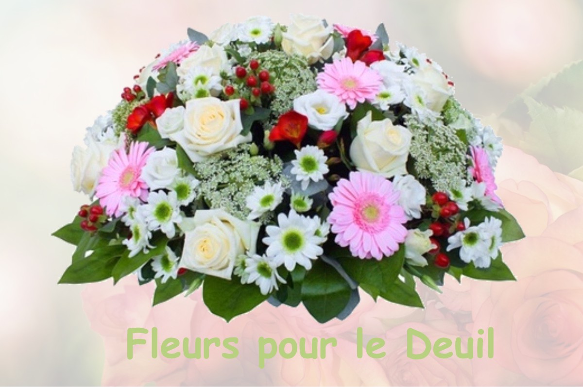 fleurs deuil SAINT-AIGNAN-DES-NOYERS