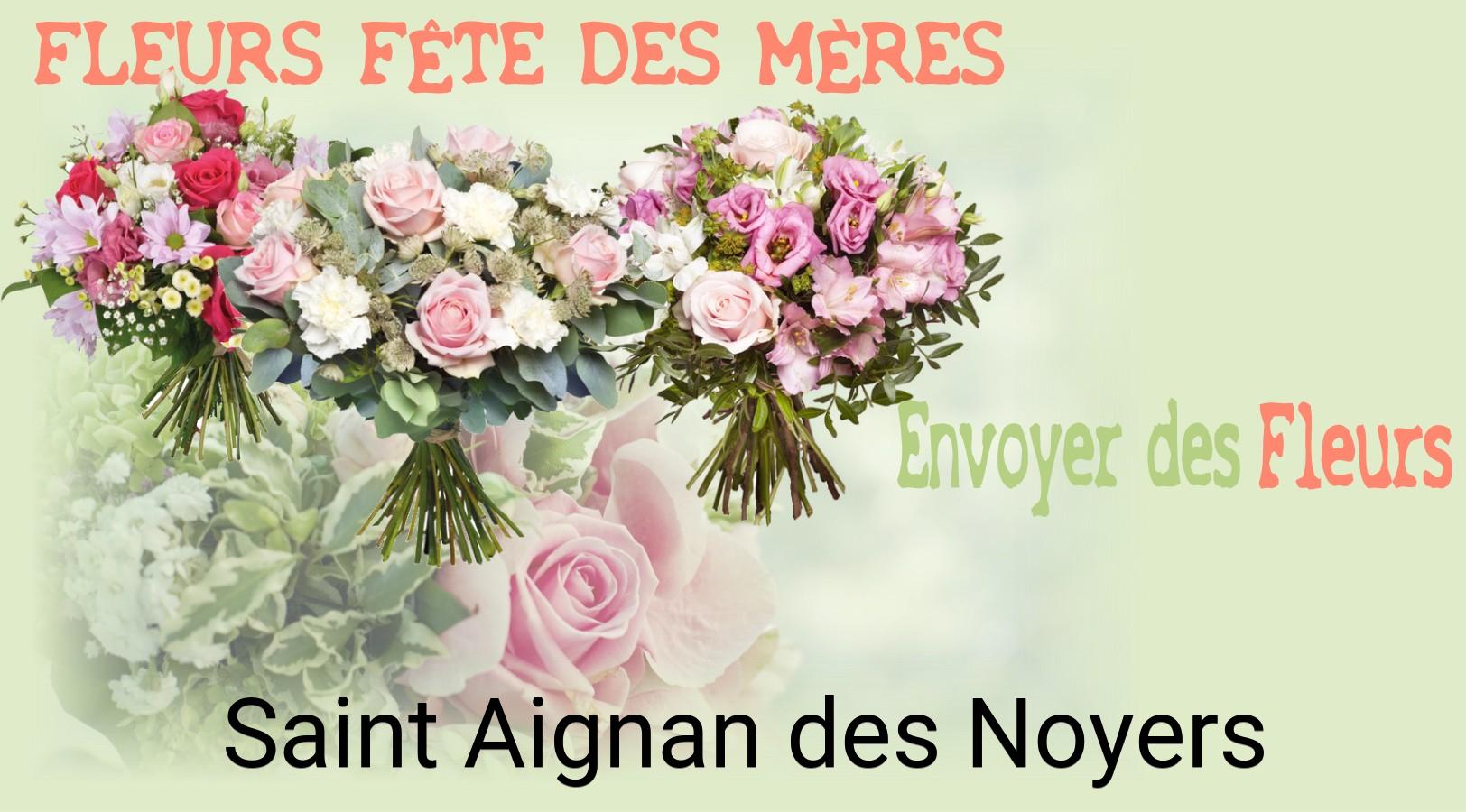 Bouquet de Fête des Mères livré à Saint-Aignan-des-Noyers